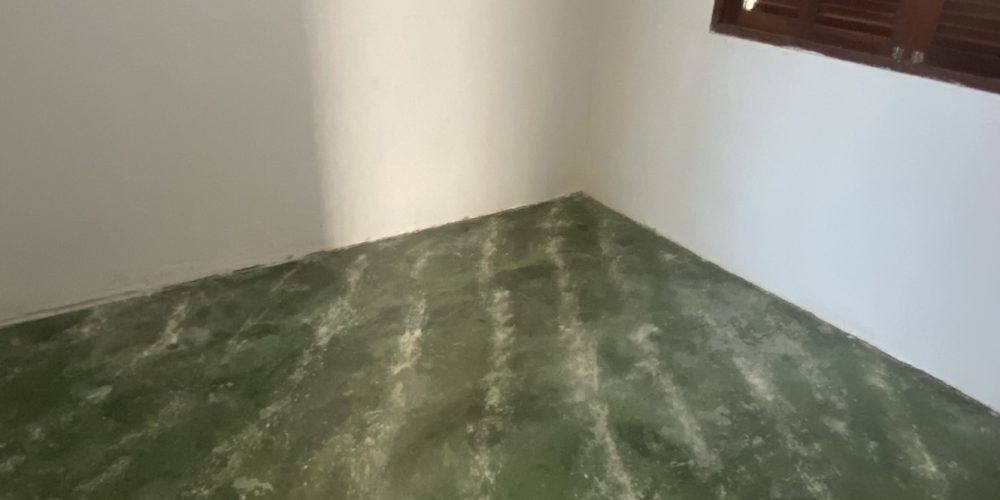 WhatsApp Image 2025-11-17 at 09.00.38 (4)