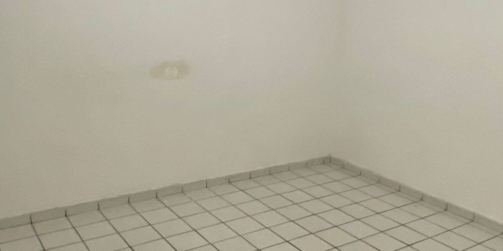 WhatsApp Image 2025-11-17 at 09.00.42 (1)