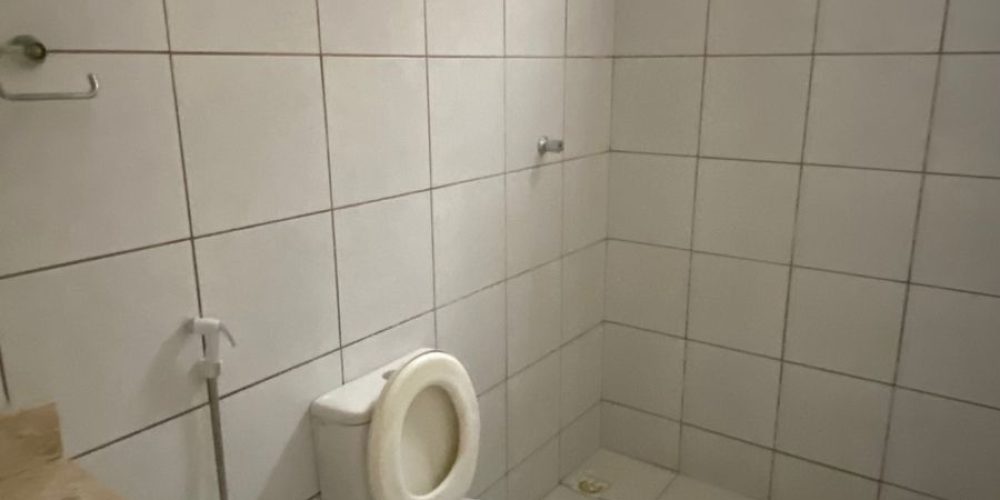 WhatsApp Image 2026-02-12 at 08.44.44