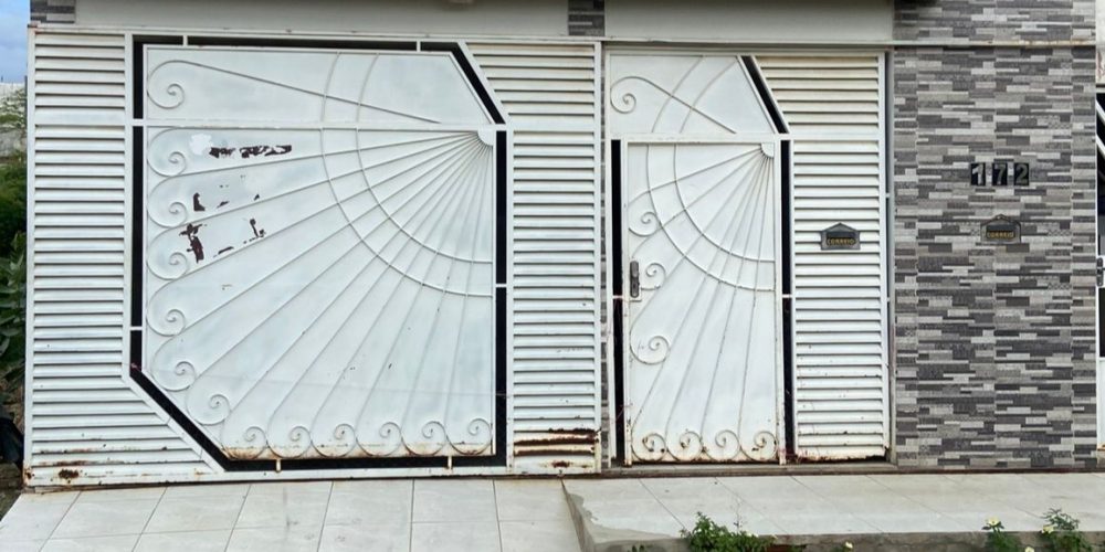 WhatsApp Image 2026-02-12 at 08.58.16