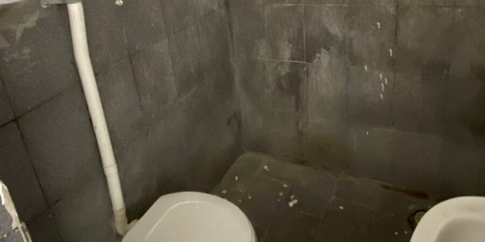 WhatsApp Image 2026-03-04 at 08.28.03